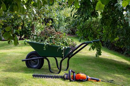 wheelbarrow & hedge trimmer